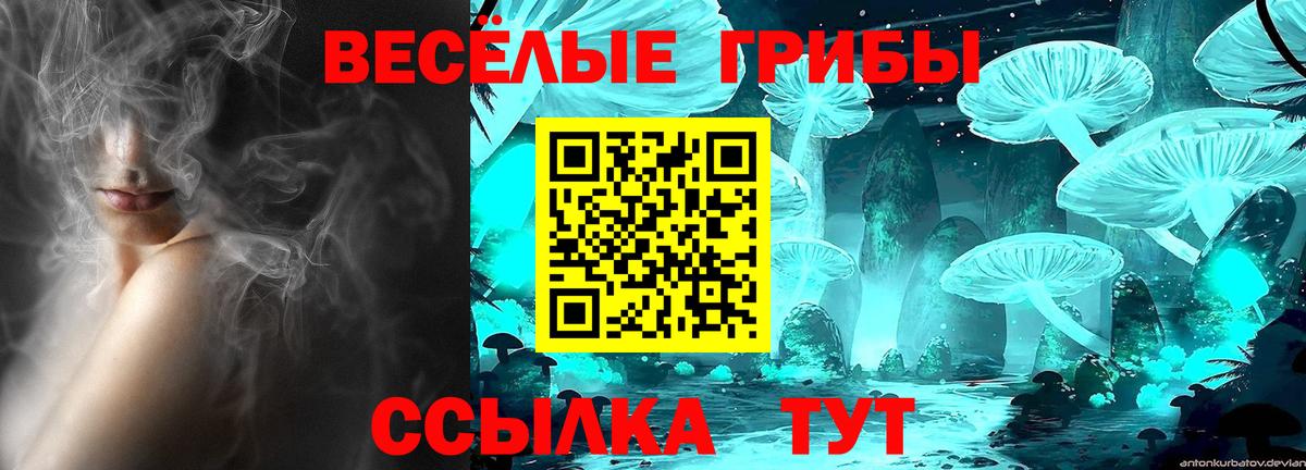 Россия  Галлюциногенные грибы ЛСД  Вход с VPN  Псилоцибиновые грибы Psilocybine cubensis 